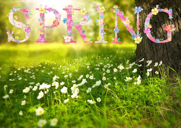 My favourite season - Spring